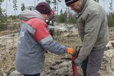 выкса.рф, В Выксе стартовал лесокультурный сезон